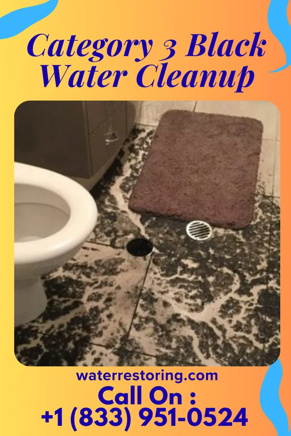 Category 3 Black Water Cleanup in Ithaca, NY
