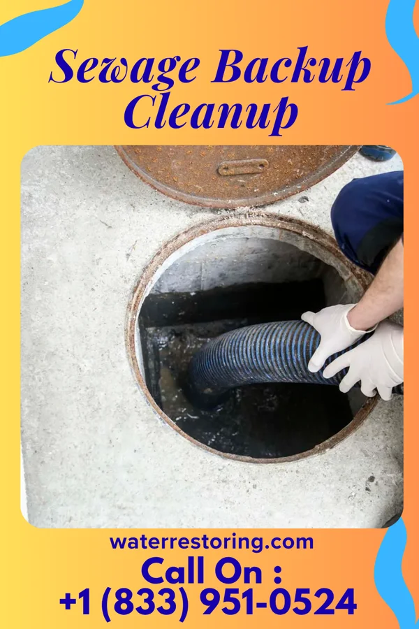 Sewage Backup Cleanup in Ithaca, NY